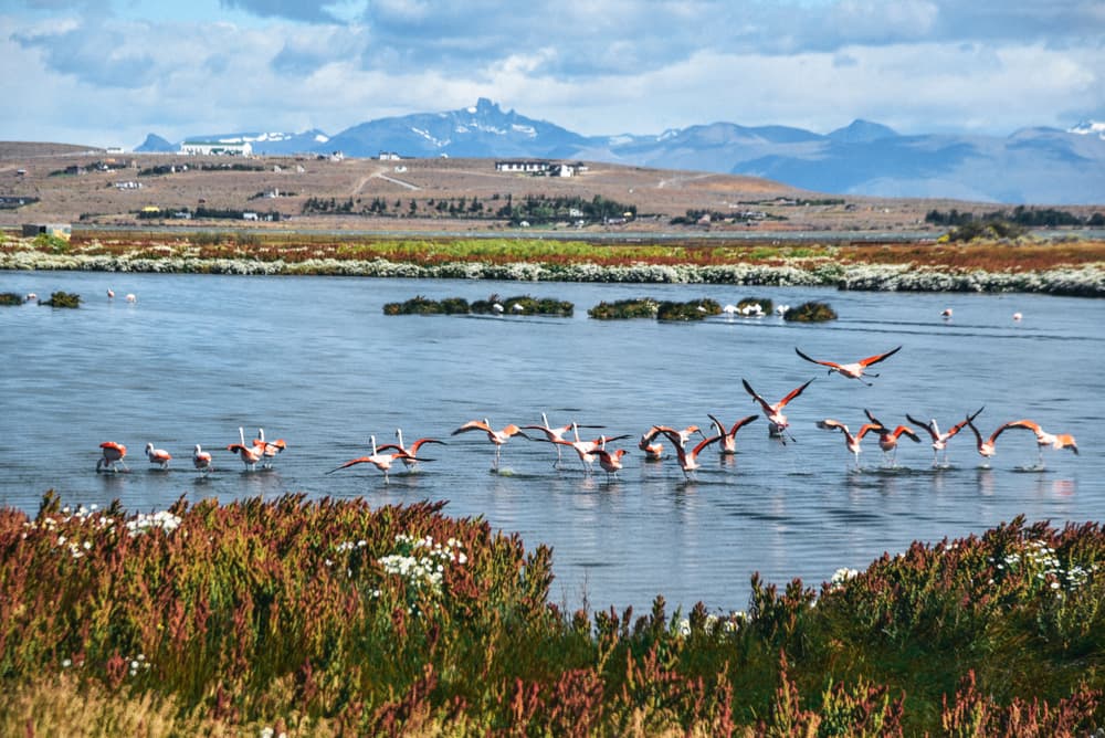 El Calafate y glaciares